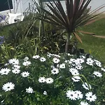 Casa Da Ribeira Bed & Breakfast 4*