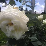 Bed & Breakfast Casa Da Ribeira 4*