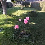 Casa Da Ribeira 4*