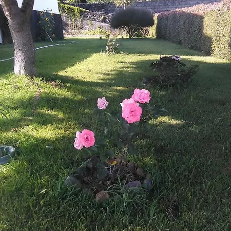 Casa Da Ribeira 4*