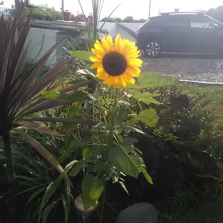 Bed & Breakfast Casa Da Ribeira Lajes do Pico