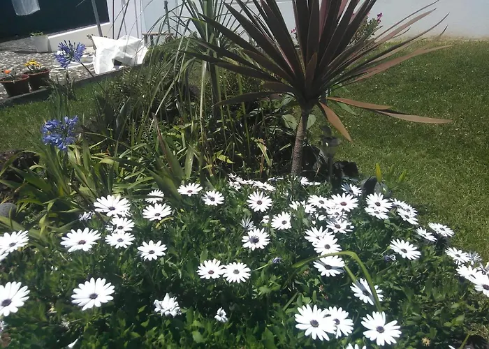 Casa Da Ribeira ベッド・アンド・ブレックファスト 4*