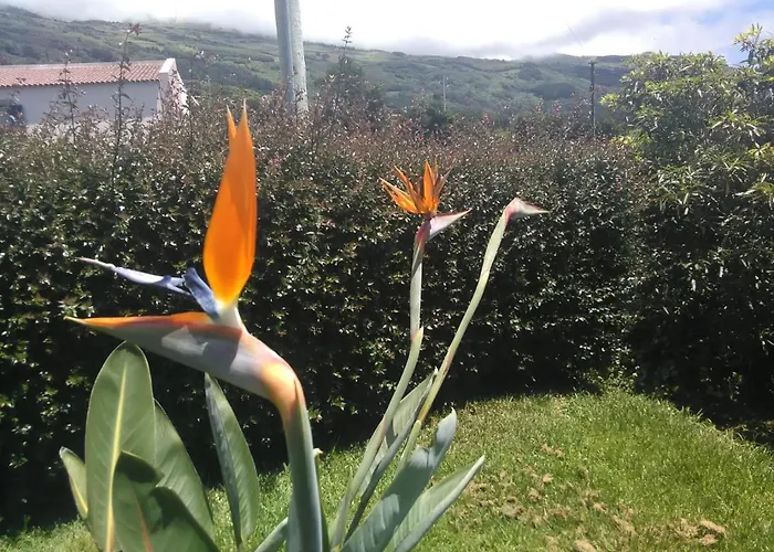 Casa Da Ribeira 4* ラジェス・ド・ピコ