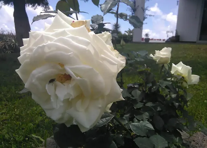 ベッド・アンド・ブレックファスト Casa Da Ribeira 4*