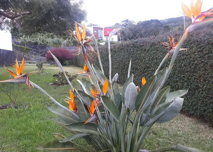 Casa Da Ribeira ベッド・アンド・ブレックファスト