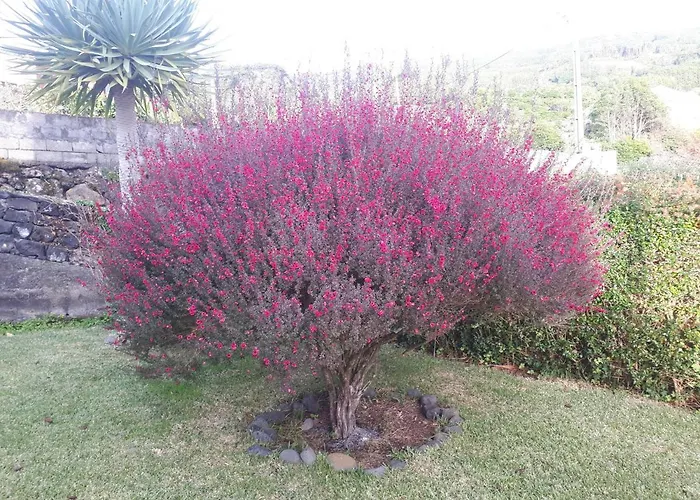 Casa Da Ribeira ベッド・アンド・ブレックファスト ラジェス・ド・ピコ