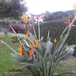 Casa Da Ribeira לינה וארוחת בוקר
