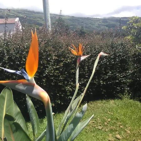 Casa Da Ribeira 4* Lajes do Pico