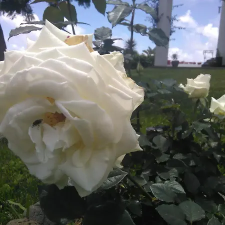 Bed & Breakfast Casa Da Ribeira 4*