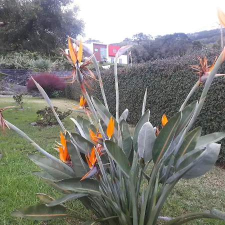 Casa Da Ribeira Bed & Breakfast