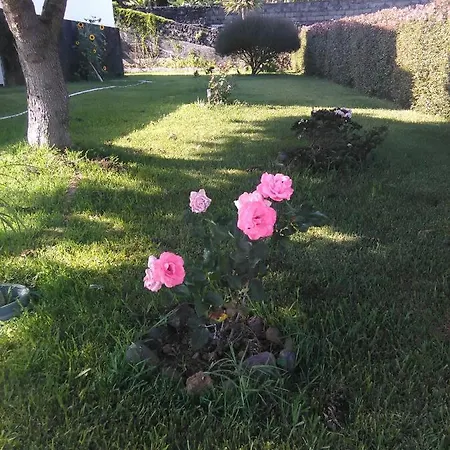 Casa Da Ribeira *