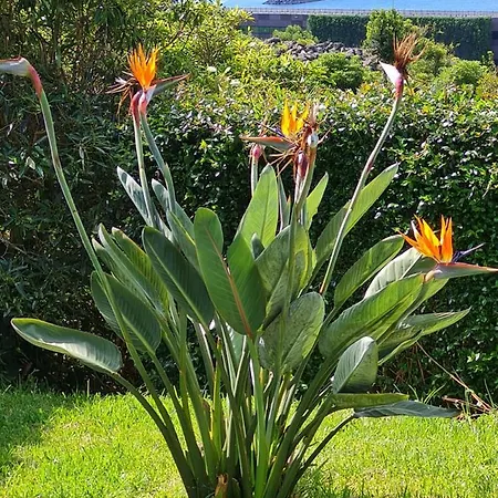 Casa Da Ribeira Bed & Breakfast *