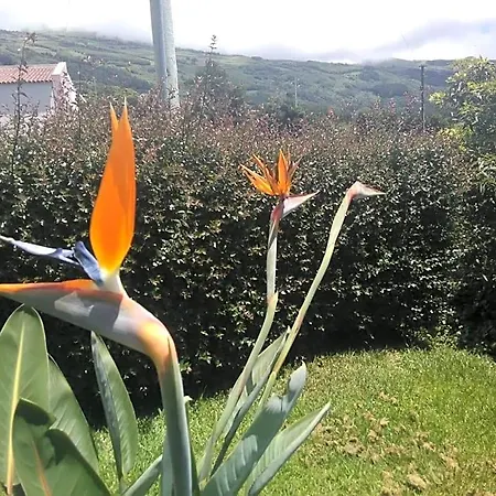 Casa Da Ribeira לינה וארוחת בוקר