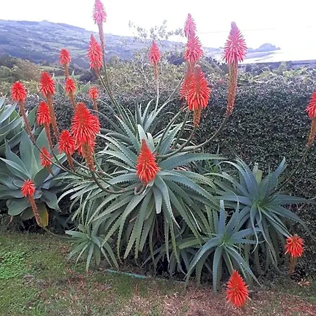 Casa Da Ribeira Bed & Breakfast Lajes do Pico